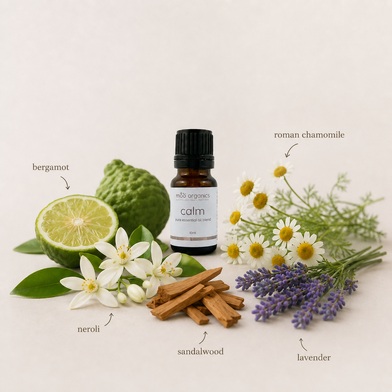 maa botanicals calm essential oil blend showcasing the ingredients of bergamot, neroli, roman chamomile, sandalwood and lavender