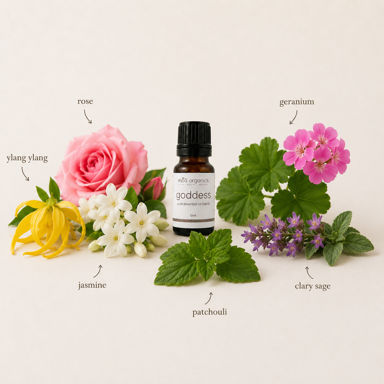 maa botanicals goddess essential oil blend showcasing the ingredients of jasmine, rose, geranium, ylang ylang, clary sage and patchouli