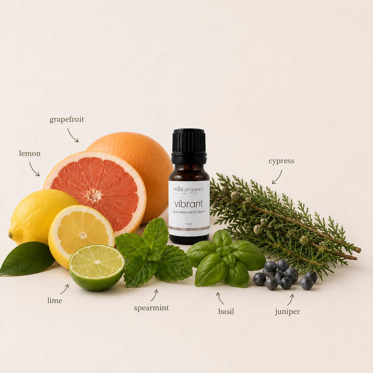 maa botanicals vibrant essential oil blend showcasing the ingredients of lemon, lime,  grapefruit, cypress, juniper, spearmint and basil